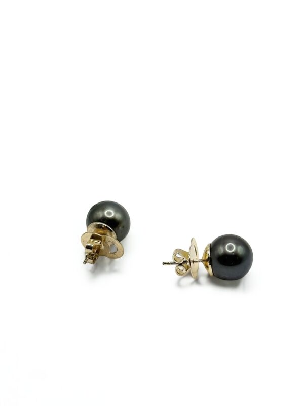 11 – 12 mm Black Pearl Gold Plated Stud Earrings