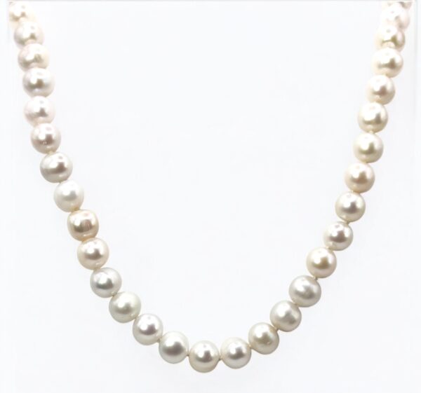 7 – 8 mm White Pearl Necklace Strand